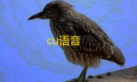 cu语音